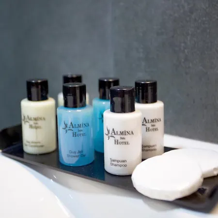 Almina 3* Κωνσταντινούπολη