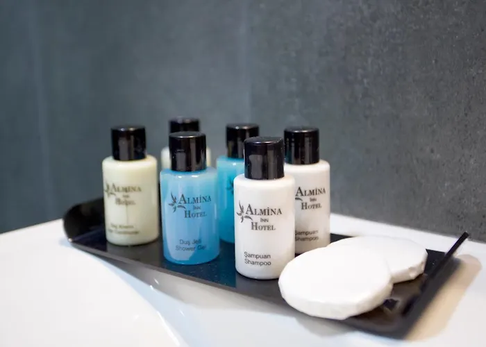 Almina 3* Стамбул